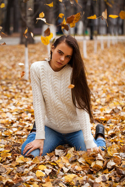 Portrait of a young beautiful girl in blue jeans and gwhite sweater sits on autumn leaves in a park