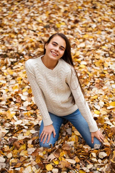 Young beautiful girl in blue jeans and gwhite sweater — Stock Photo, Image
