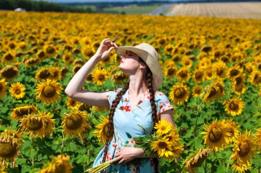 Ayçiçeği tarlasında hasır şapkalı güzel bir kadın.