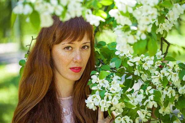 Portrait Young Red Haired Woman Posing Backdrop Blossoming Apple Tree — Stock Photo, Image