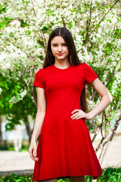 Close Portrait Young Brunette Girl Red Dress Background Blooming Cherry — Stock Photo, Image