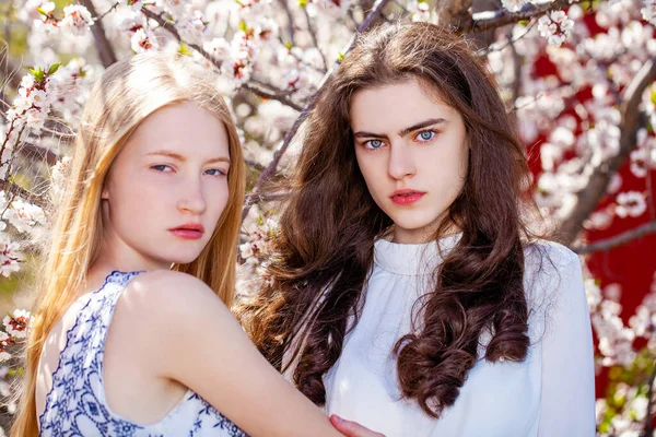 Dwie Szczęśliwe Dziewczyny Pozowanie Ogrodzie Pobliżu Drzewa Wiśni Kwiat Białymi — Zdjęcie stockowe