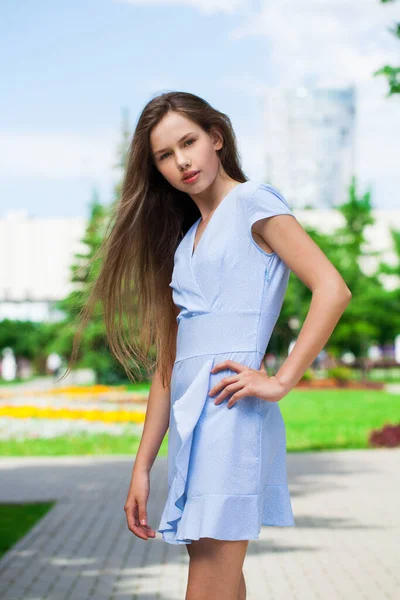 Porträt Einer Jungen Schönen Brünetten Blauem Kleid Posiert Sommerpark — Stockfoto
