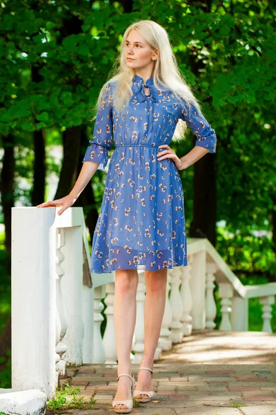 Retrato Uma Jovem Linda Menina Loira Flores Azuis Vestido Andando — Fotografia de Stock