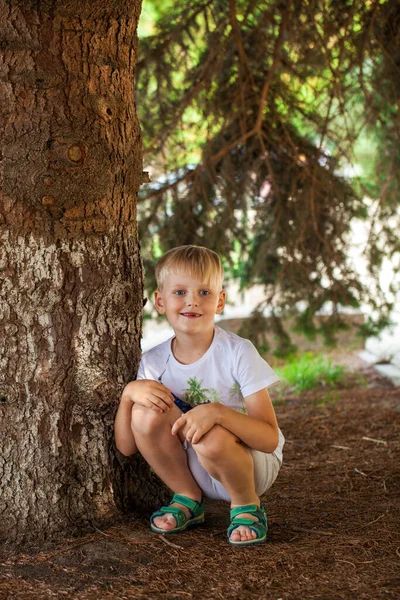 Full body portrait of a young blonde little boy in summer park