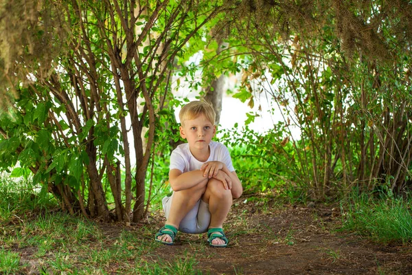 Full Body Portrait Young Blonde Little Boy Summer Park — Stock Photo, Image
