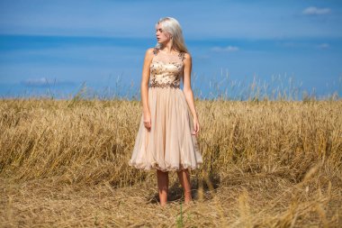 Moda elbisesi giymiş, buğday tarlasında yürüyen güzel bir sarışının vücut portresi.