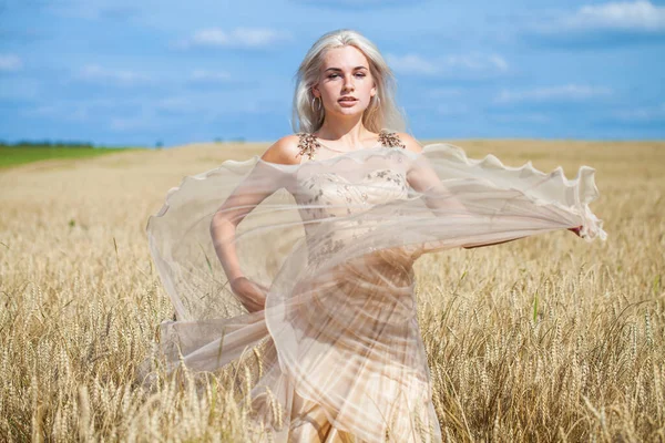 Helkroppsporträtt Ung Vacker Blond Kvinna Mode Klänning Promenader Vetefält — Stockfoto