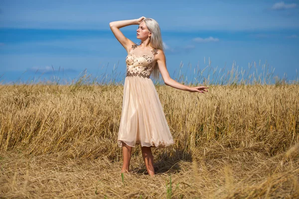 Celotělový Portrét Mladé Krásné Blondýny Módních Šatech Chůze Pšeničné Pole — Stock fotografie