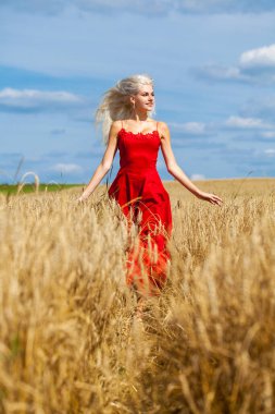 Moda elbisesi giymiş, buğday tarlasında yürüyen güzel bir sarışının vücut portresi.