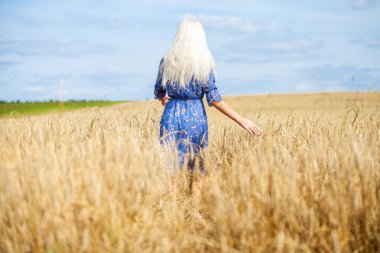 Moda elbisesi giymiş, buğday tarlasında yürüyen güzel bir sarışının vücut portresi.