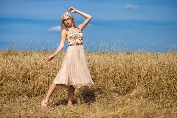 Moda Elbisesi Giymiş Buğday Tarlasında Yürüyen Güzel Bir Sarışının Vücut — Stok fotoğraf