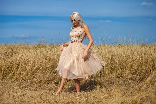 Pełne Ciało Portret Młodej Pięknej Blondynki Sukience Mody Chodzenie Pszenicy — Zdjęcie stockowe