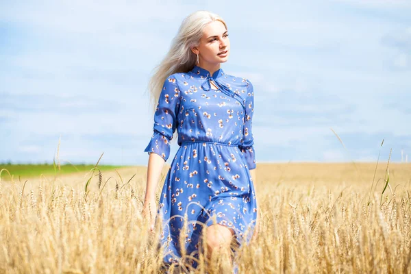 Mavi elbiseli, buğday tarlasında poz veren genç, güzel sarışın.