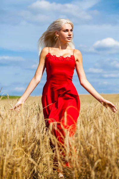 Jovem Bela Loira Vestido Vermelho Posando Campo Trigo — Fotografia de Stock