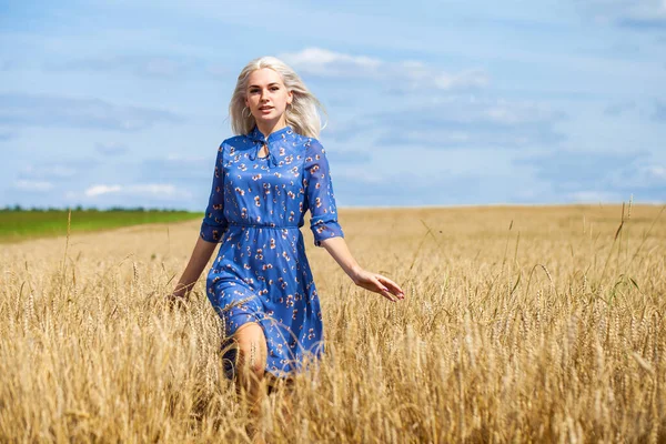 Mavi elbiseli, buğday tarlasında poz veren genç, güzel sarışın.