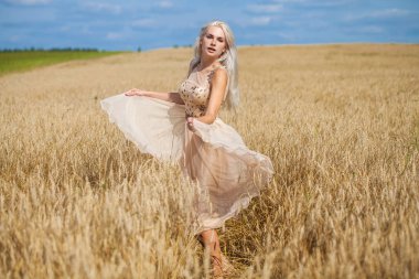 Moda elbisesi giymiş, buğday tarlasında yürüyen güzel bir sarışının vücut portresi.