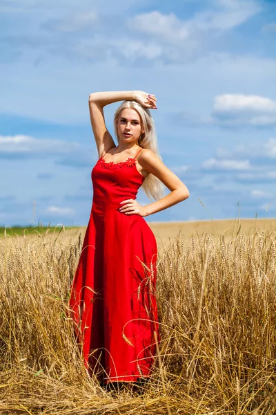 Jovem Bela Loira Vestido Vermelho Posando Campo Trigo — Fotografia de Stock