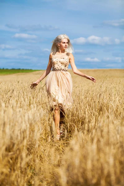 Moda Elbisesi Giymiş Buğday Tarlasında Yürüyen Güzel Bir Sarışının Vücut — Stok fotoğraf