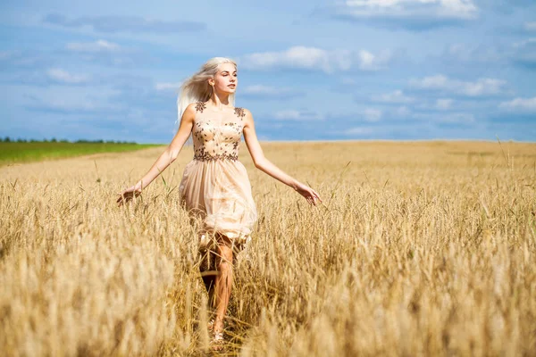 フルボディポートレートの若いです美しいですブロンド女性でファッションドレス歩く小麦畑 — ストック写真