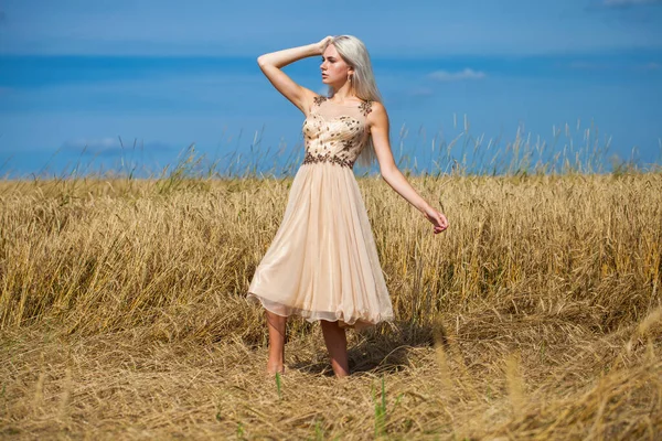 Full body portrait of a young beautiful blonde woman in fashion dress walking wheat field