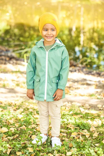 Ganzkörperporträt Eines Kleinen Jungen Herbstpark — Stockfoto