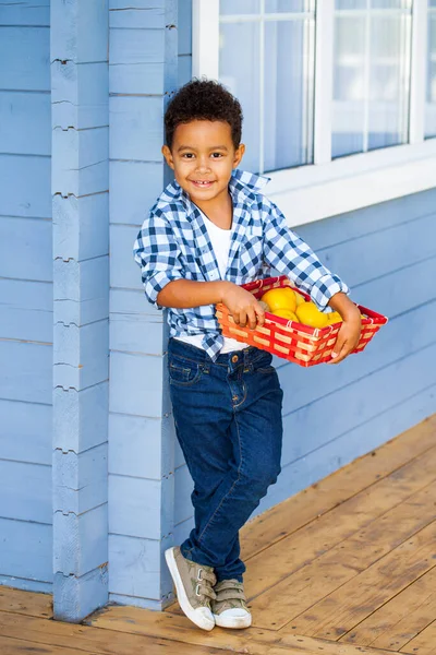 Knappe Kleine Jongen Veranda Van Het Huis Met Fruit — Stockfoto