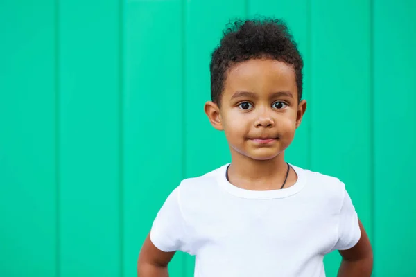 Portrait Young Beautiful African Little Boy — Stock Photo, Image