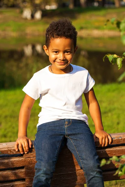 Menino Pré Escolar Bonito Com Cesta Limões Frescos — Fotografia de Stock