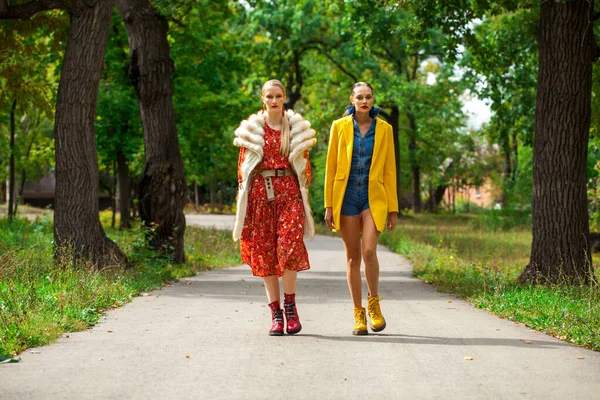 Duas Jovens Garotas Elegantes Estão Andando Parque Outono — Fotografia de Stock
