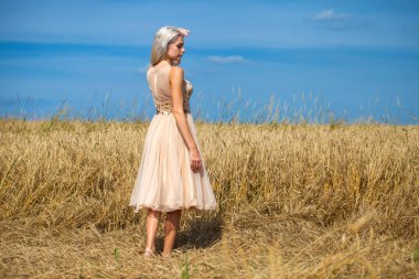 Moda elbisesi giymiş, buğday tarlasında yürüyen güzel bir sarışının vücut portresi.