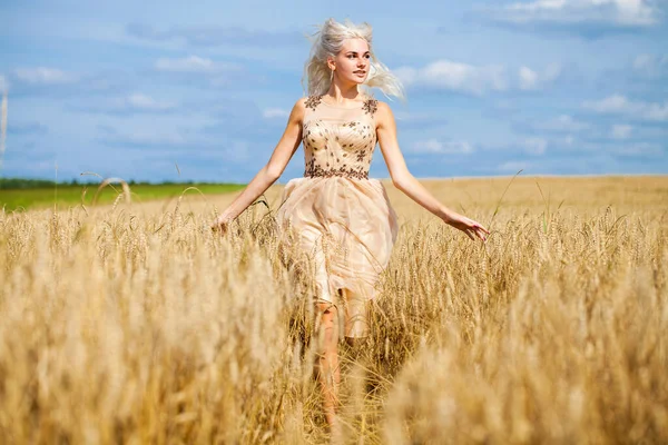 Helkroppsporträtt Ung Vacker Blond Kvinna Mode Klänning Promenader Vetefält — Stockfoto