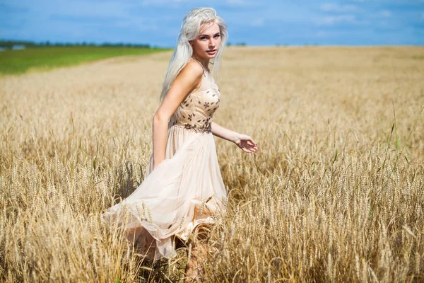 Helkroppsporträtt Ung Vacker Blond Kvinna Mode Klänning Promenader Vetefält — Stockfoto