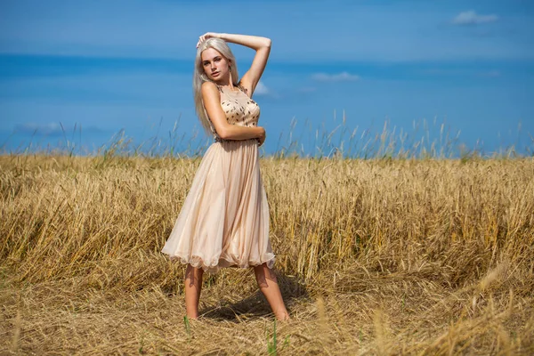 Ganzkörperporträt Einer Jungen Schönen Blonden Frau Modekleid Fuß Weizenfeld — Stockfoto