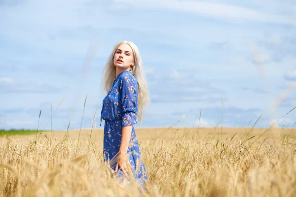 Ung Vacker Blond Blå Klänning Poserar Ett Vetefält — Stockfoto