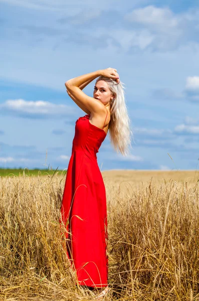 Ung Vacker Blond Röd Klänning Poserar Ett Vetefält — Stockfoto