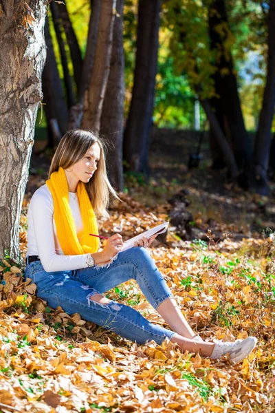 年轻美丽的姑娘坐在秋天的公园里 用铅笔在素描本上画画 — 图库照片