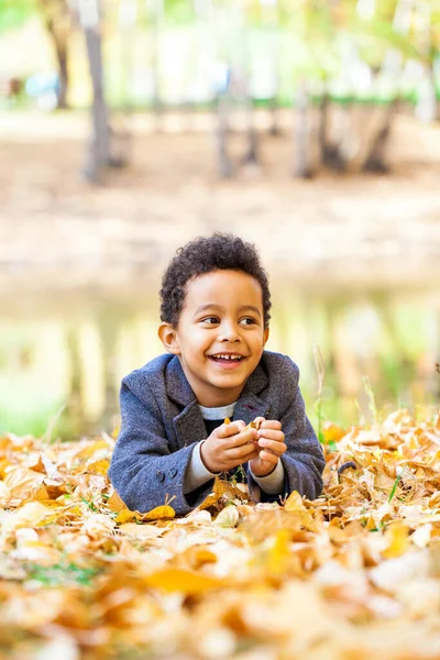 Vierjähriger Kleiner Junge Posiert Herbstpark — Stockfoto