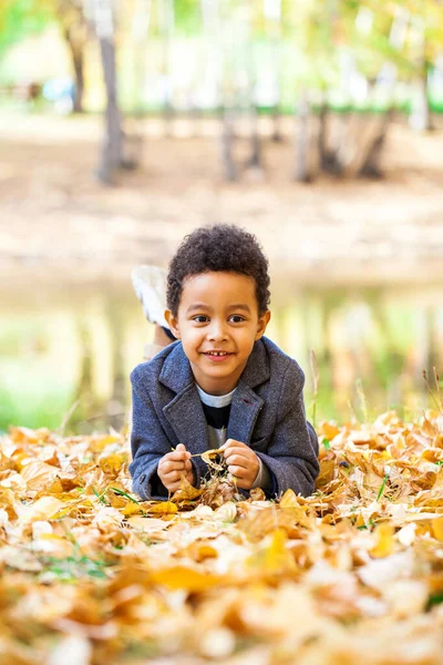 4歳の男の子が秋の公園でポーズをとって — ストック写真