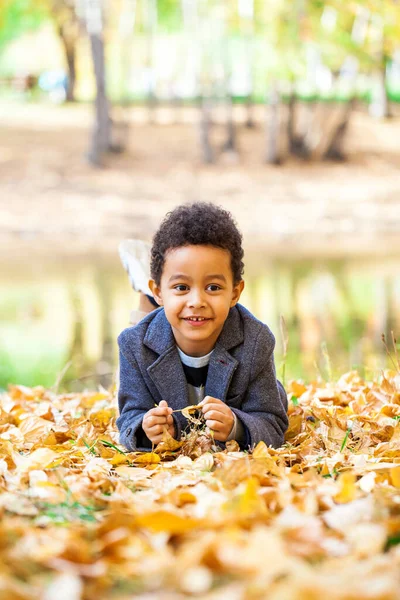 Menino Quatro Anos Posando Parque Outono — Fotografia de Stock