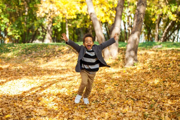 Four Year Old Little Boy Posing Autumn Park — Stock Photo, Image