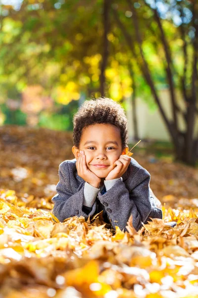 Vierjähriger Kleiner Junge Posiert Herbstpark — Stockfoto