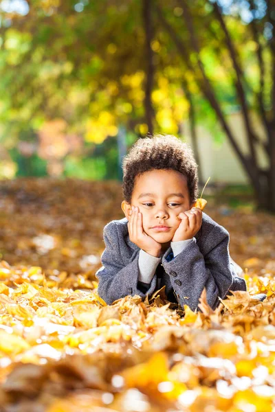 Menino Quatro Anos Posando Parque Outono — Fotografia de Stock