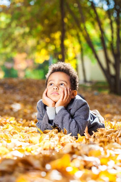 Niño Cuatro Años Posando Parque Otoño —  Fotos de Stock