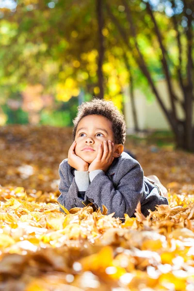 Vierjähriger Kleiner Junge Posiert Herbstpark — Stockfoto