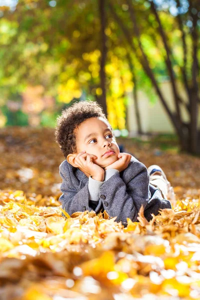 Čtyřletý Chlapec Pózující Podzimním Parku — Stock fotografie