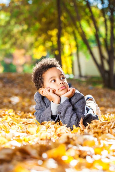 Menino Quatro Anos Posando Parque Outono — Fotografia de Stock