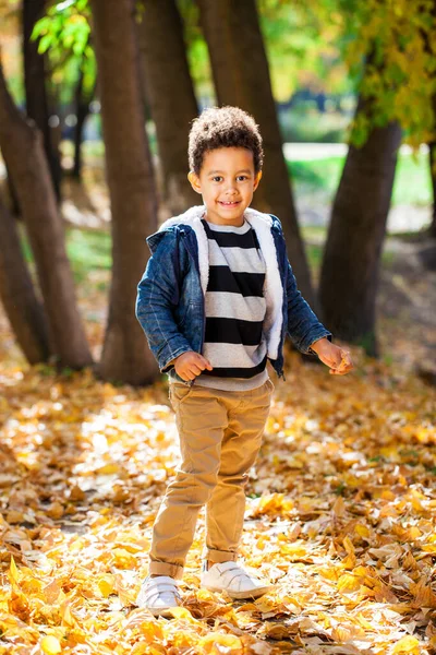 Négyéves Kisfiú Pózol Őszi Parkban — Stock Fotó