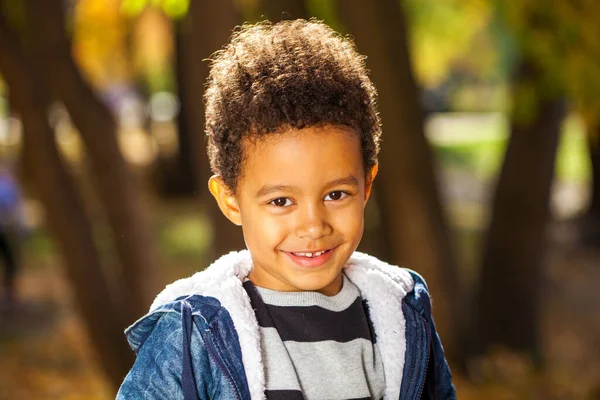 Four Year Old Little Boy Posing Autumn Park — Stock Photo, Image