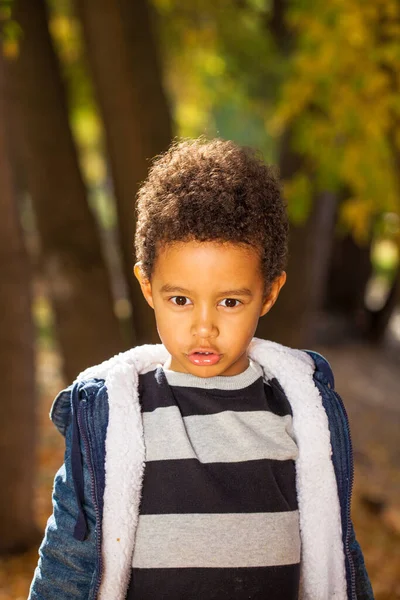 Four Year Old Little Boy Posing Autumn Park — Stock Photo, Image